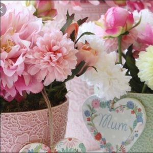 Shop my closet for some great deals.